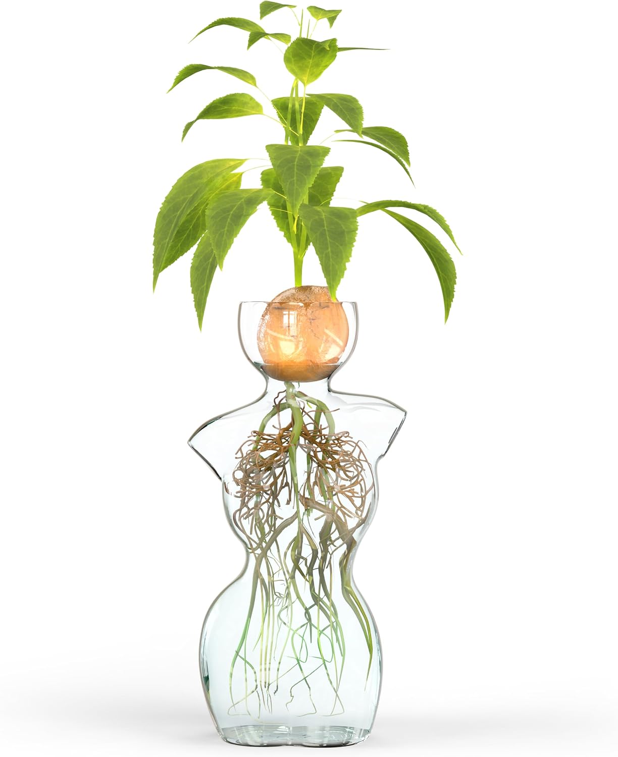 Elegant Female Silhouette Glass Propagation Vase