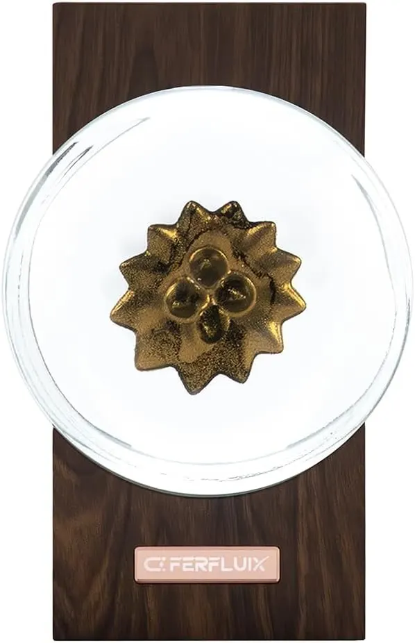 FerFluiX Ferrofluid Visualizer