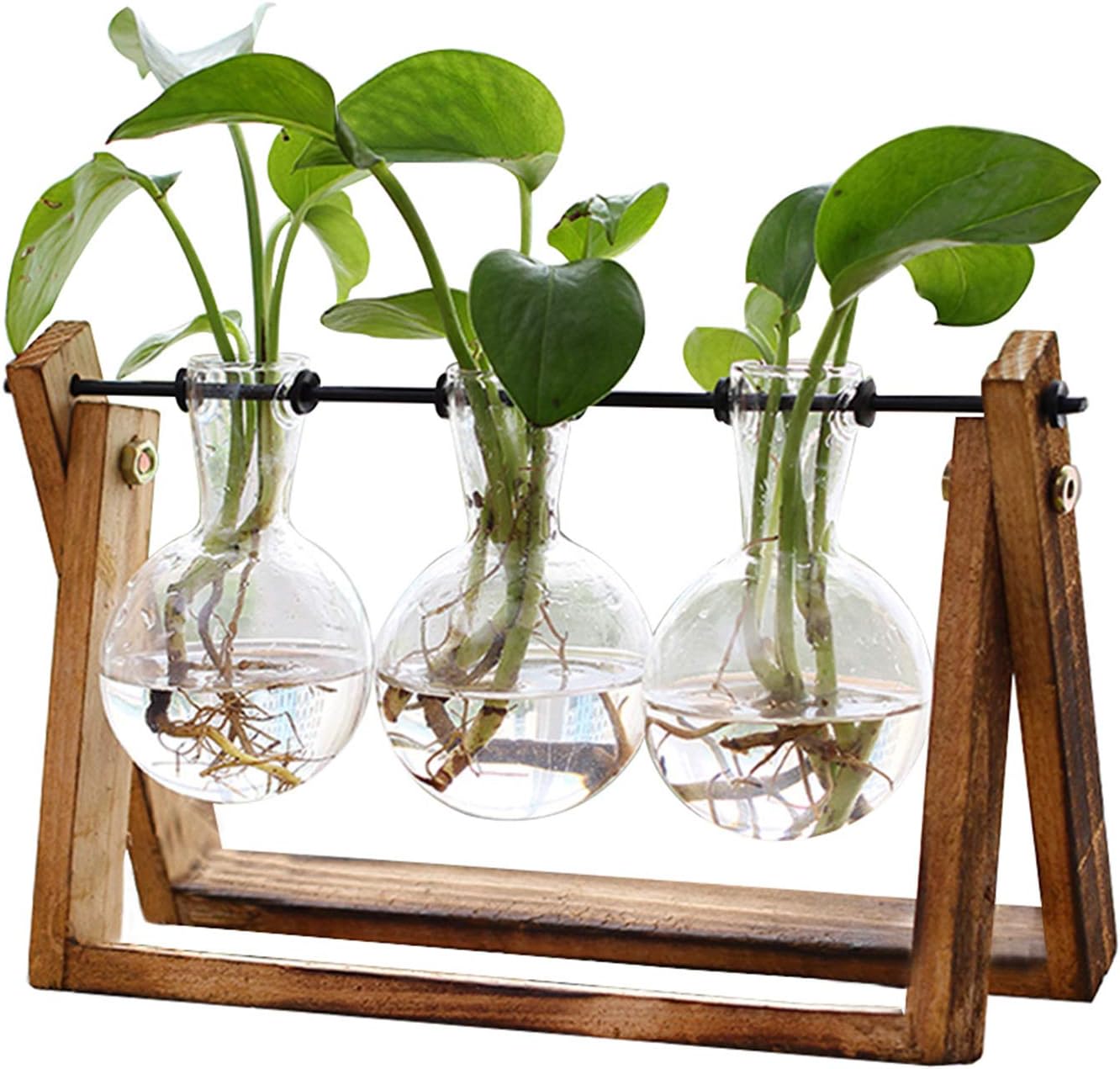 XXXFLOWER Plant Terrarium with Wooden Stand (3 Bulb Vase)