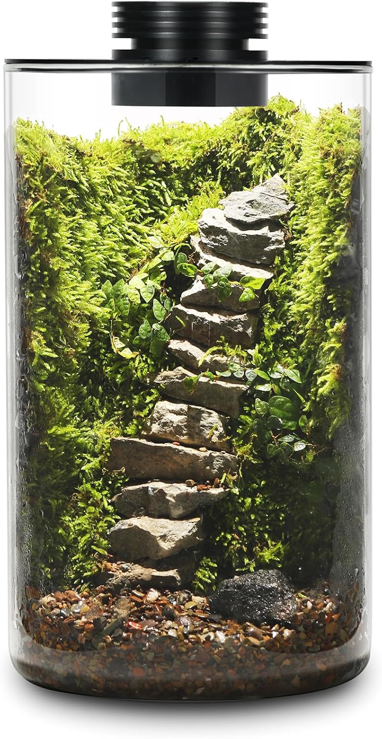 Desktop Glass Terrarium with Grow Light