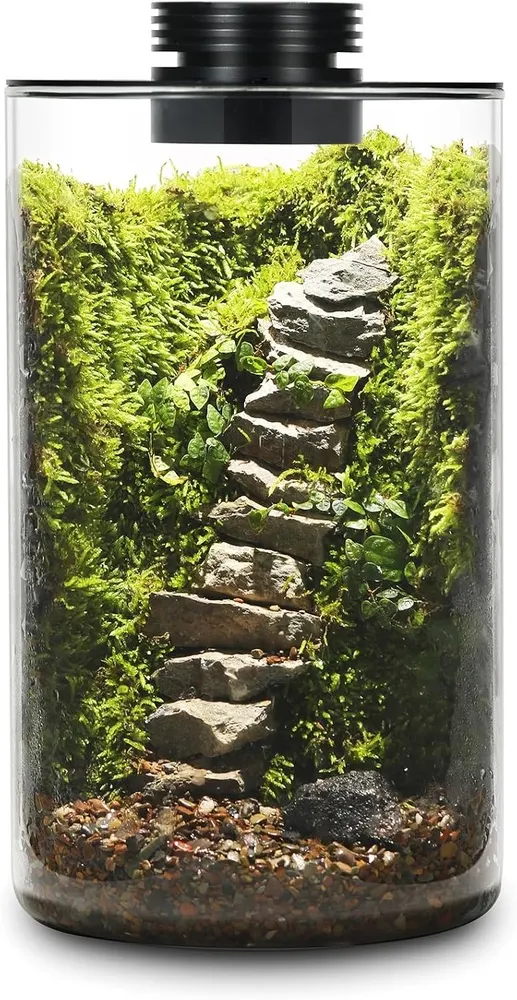 Desktop Glass Terrarium with Grow Light