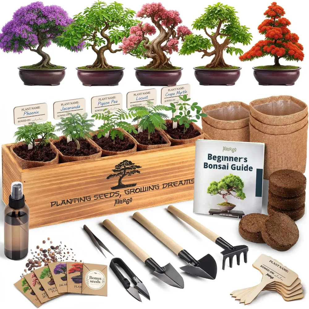 Bonsai Tree Kit Deluxe - 5 Japanese Bonsai Trees