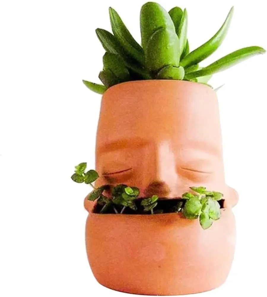 Terracotta Face Succulent Planter