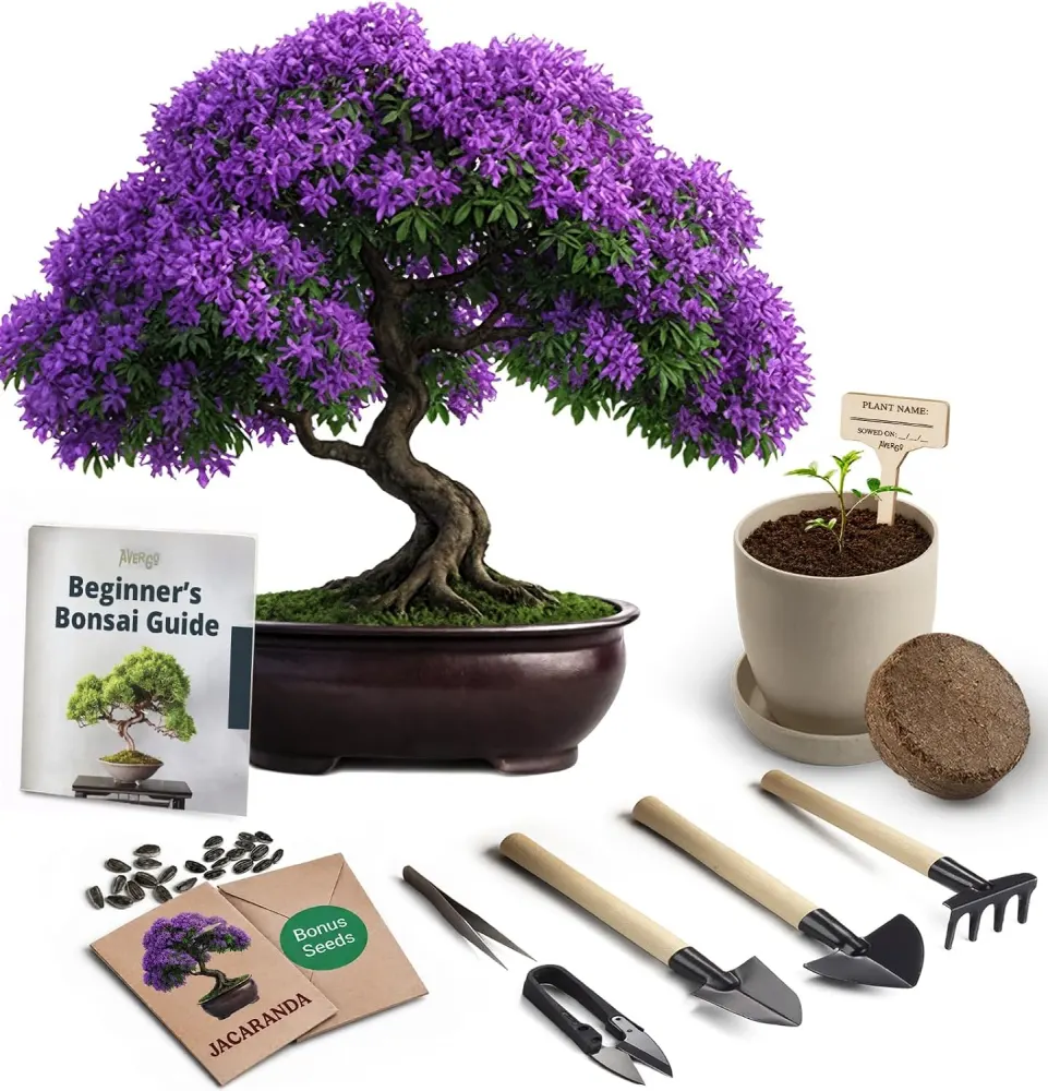 Bonsai Tree Starter Kit
