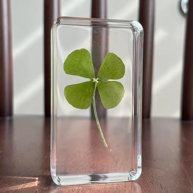 Real 4-Leaf Clover in Lucite