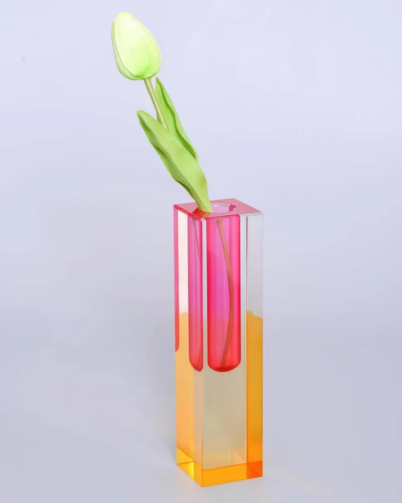 HLYU Acrylic Bud Vase (Pink, Orange)
