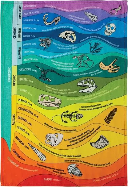 Geologic Time Dish Towel