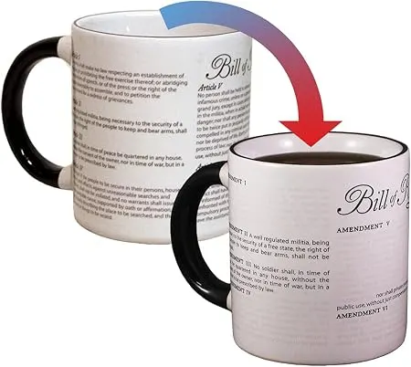 Disappearing Civil Liberties Color-Changing Mug