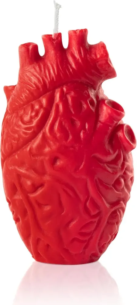 Zainpe Anatomical Heart Shaped Candle
