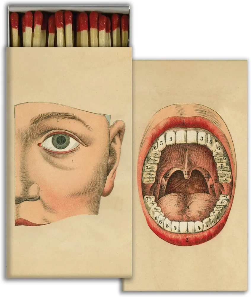 Vintage Anatomy Decorative Matchbox Gift Set of 3