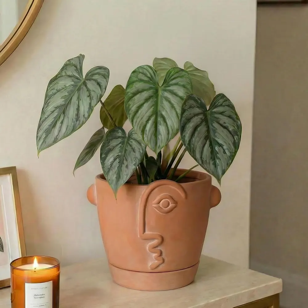HERDUK Terracotta Abstract Face Planter