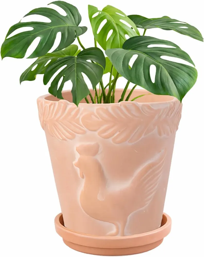 FREEMOON Color-Changing Terracotta Plant Pot
